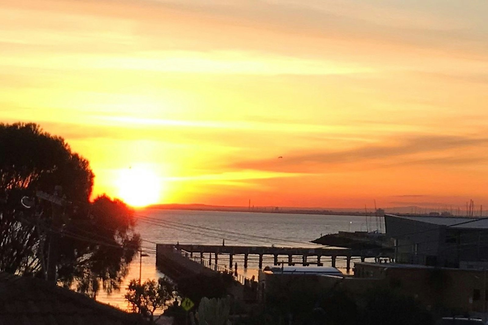 2 Normanby Street, Brighton, VIC