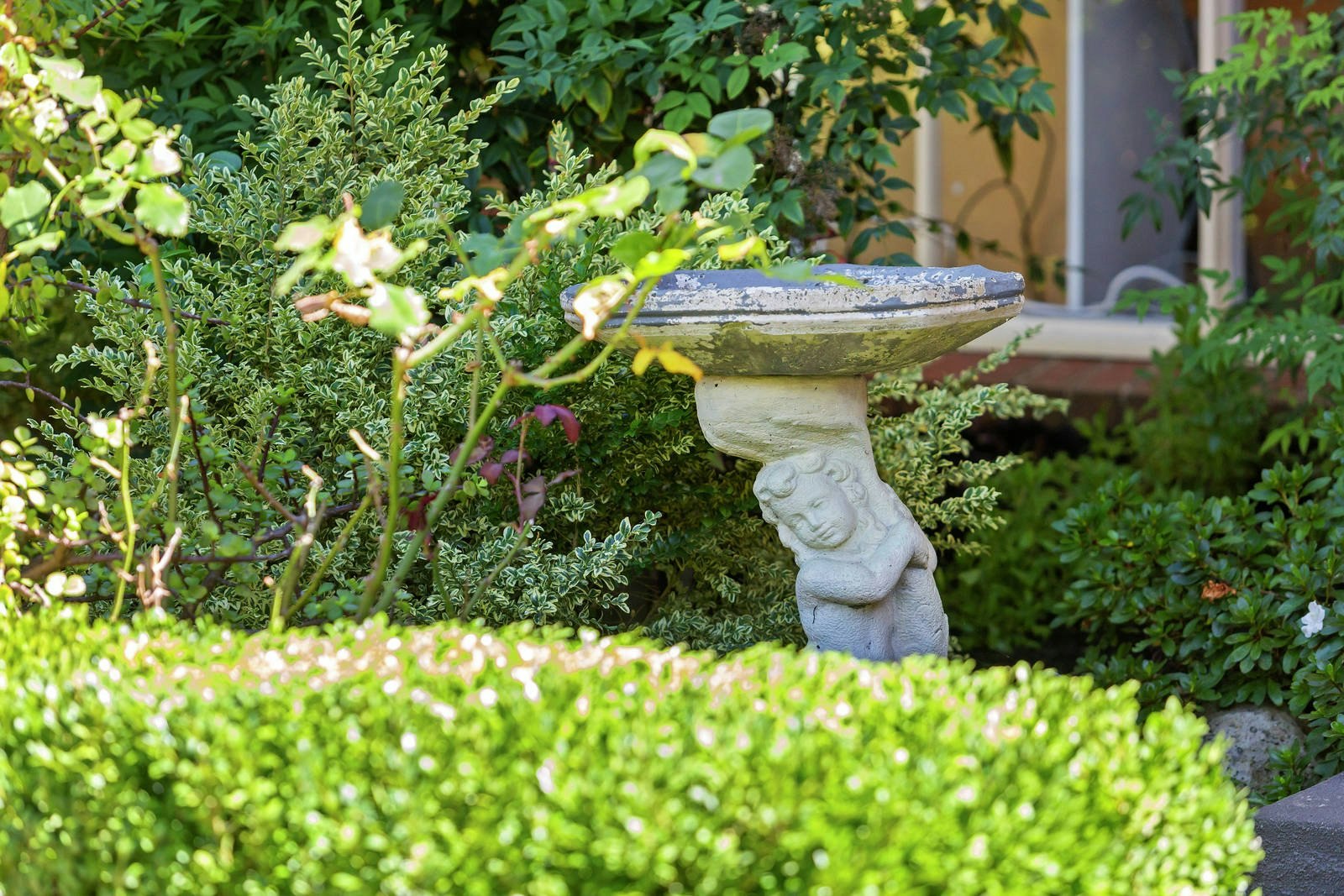 2/5 Baden Powell Place, Mount Eliza, VIC