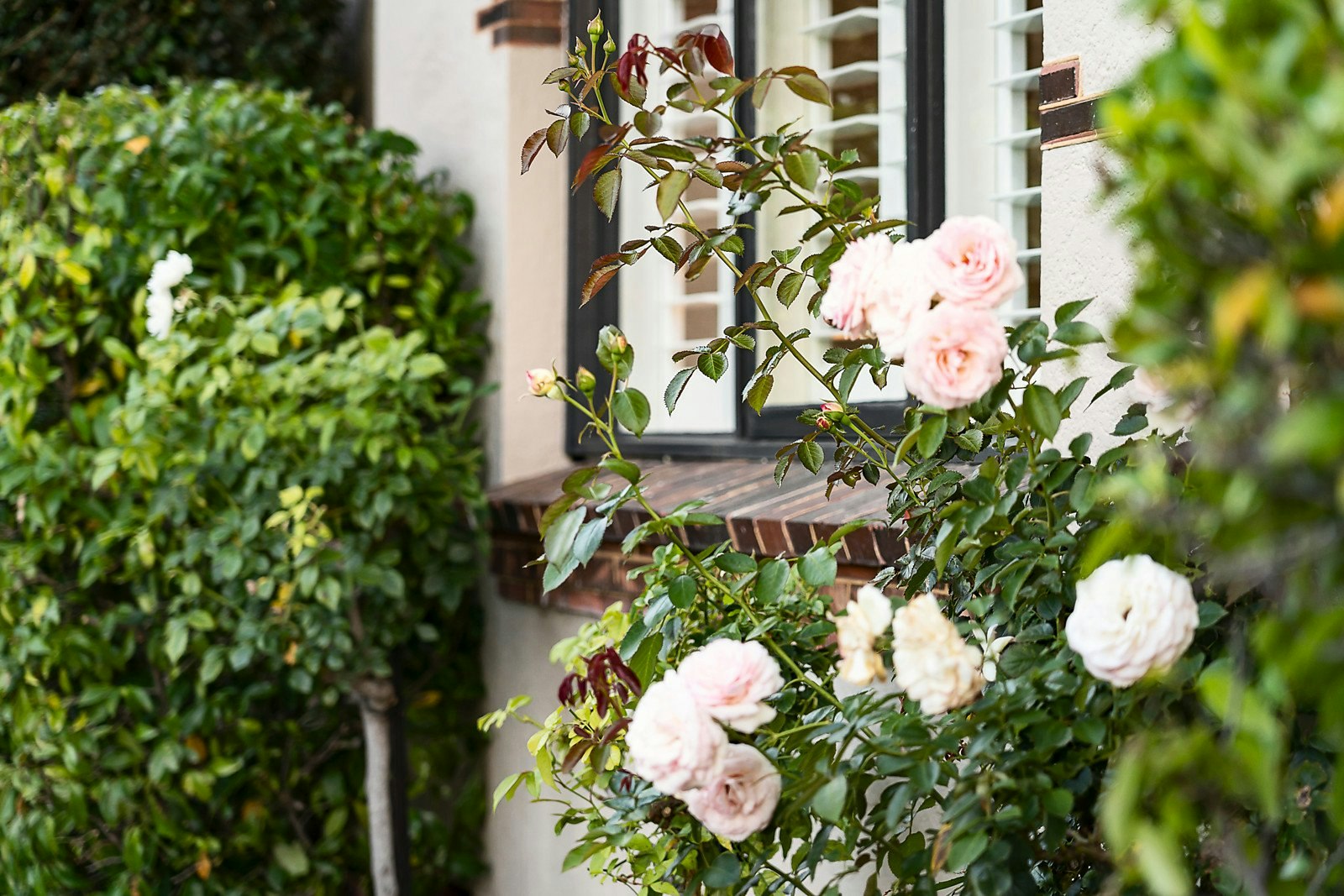 14 Murray Street, Brighton East, VIC