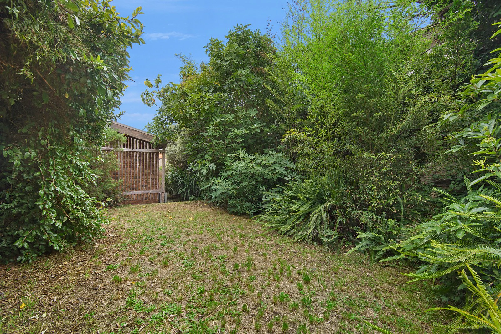 10 Leonard Street, Balwyn, VIC