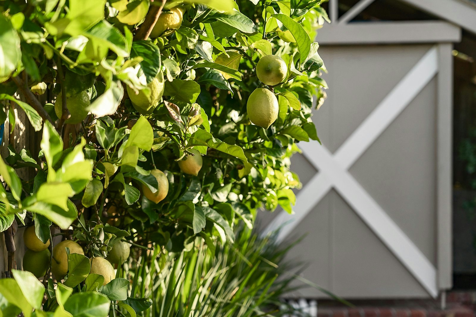 14 Murray Street, Brighton East, VIC