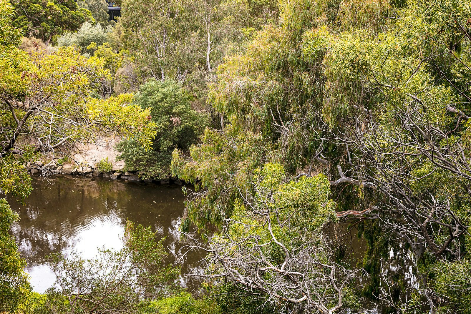 8/105 Crown Street, Richmond, VIC