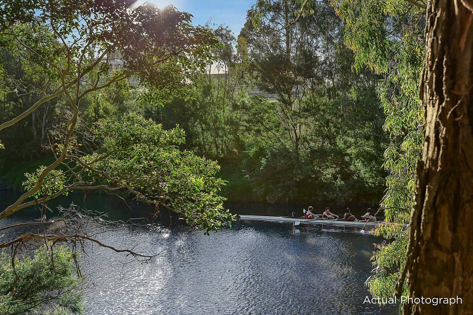 12A Harrison Crescent, Hawthorn, VIC