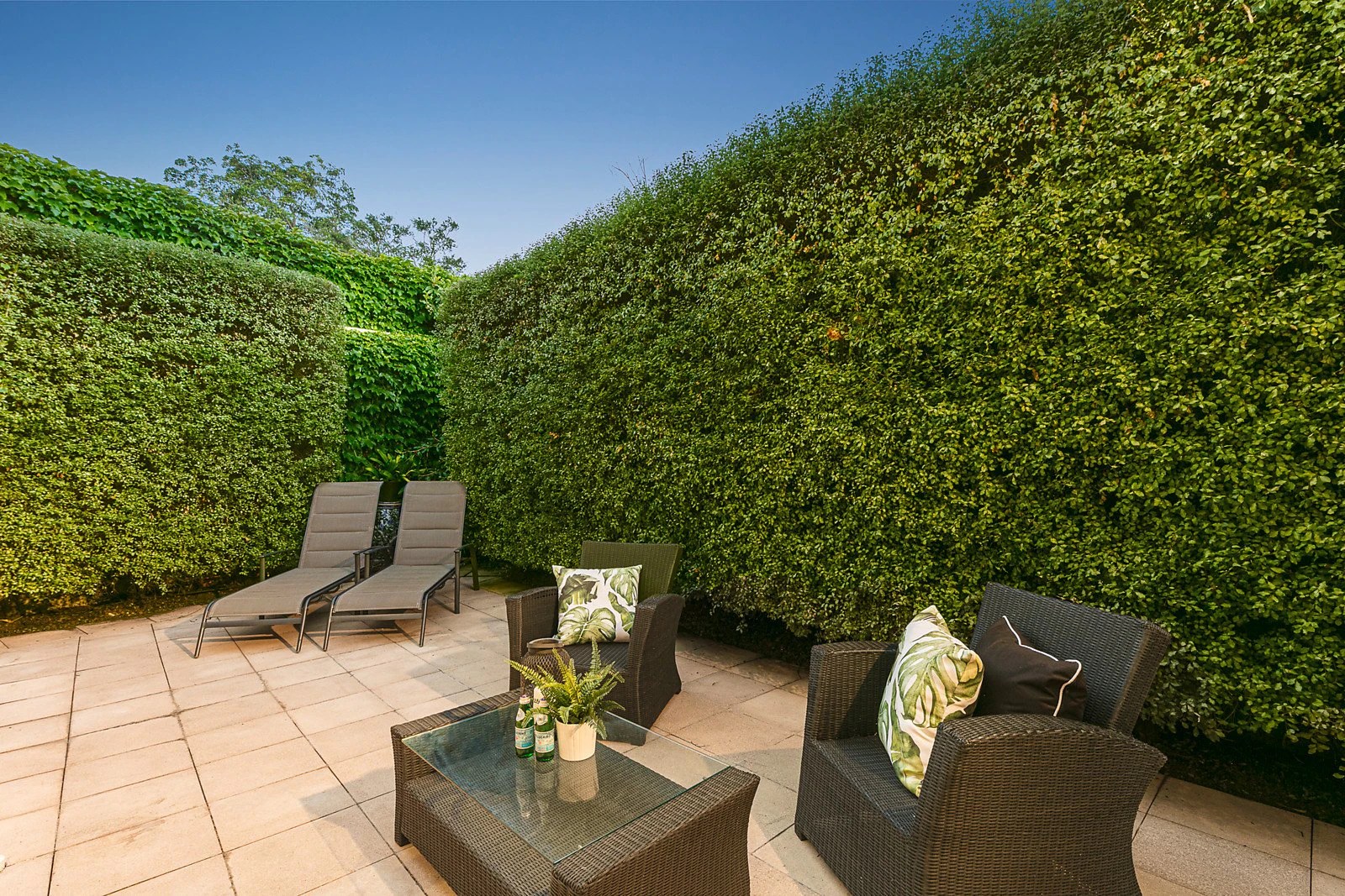 6A Tynefield Court, Brighton, VIC