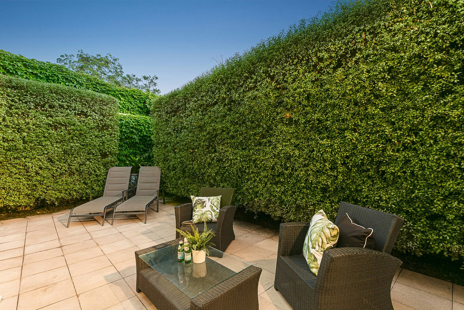 6A Tynefield Court, Brighton, VIC