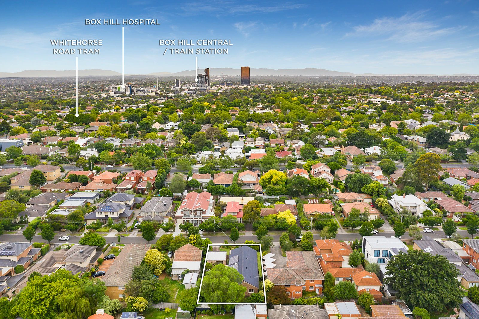 17 Scheele Street, Surrey Hills, VIC