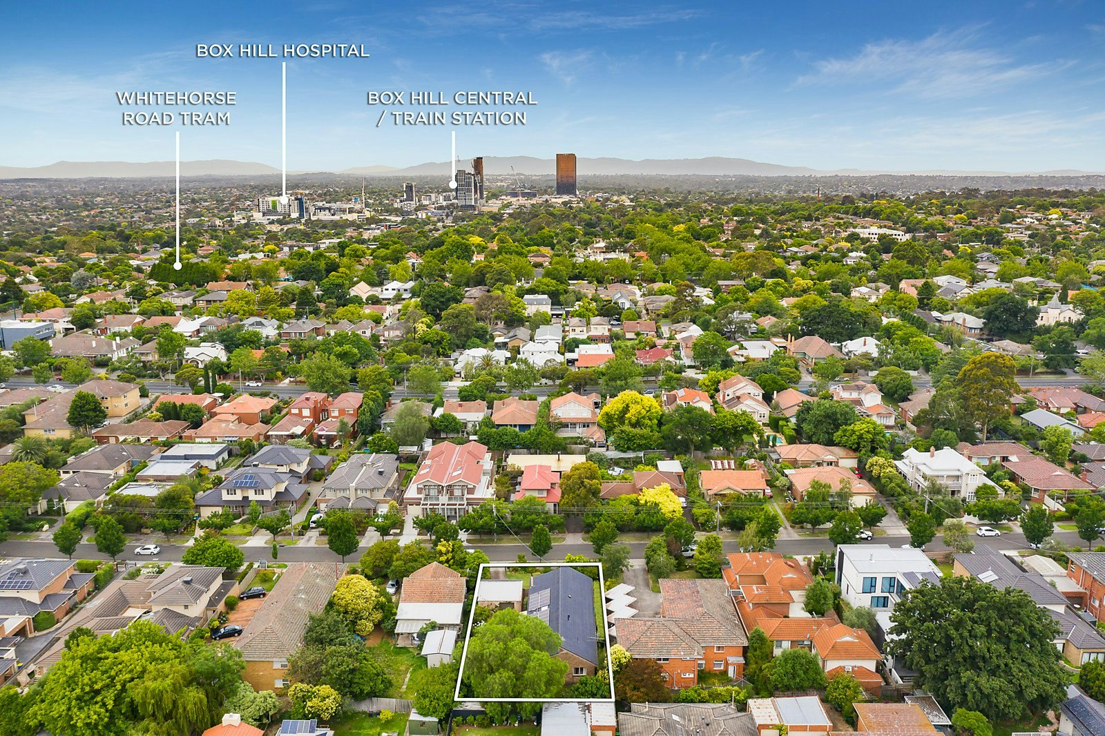 17 Scheele Street, Surrey Hills, VIC