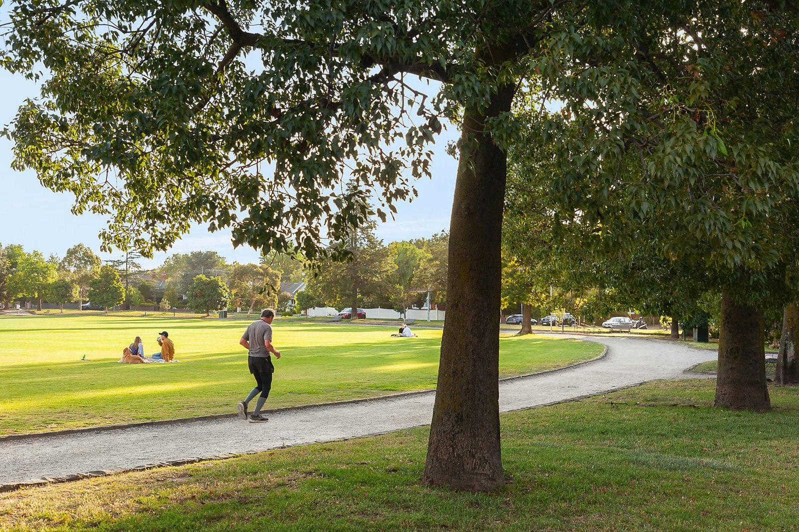 17 Nott Street, Malvern East, VIC