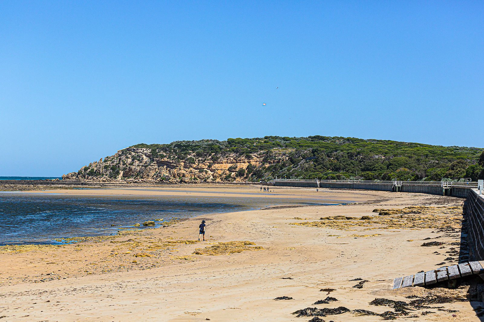 116 Carr Street, Barwon Heads, VIC