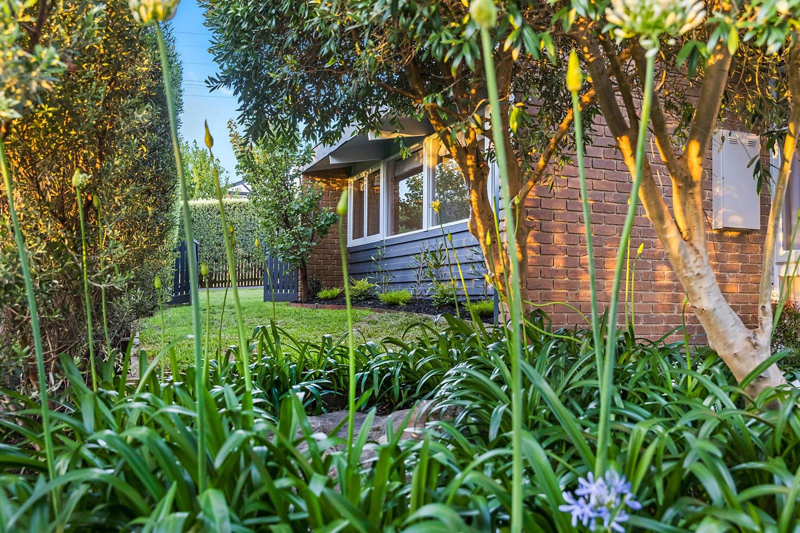 20 Shandon Street, Mornington, VIC