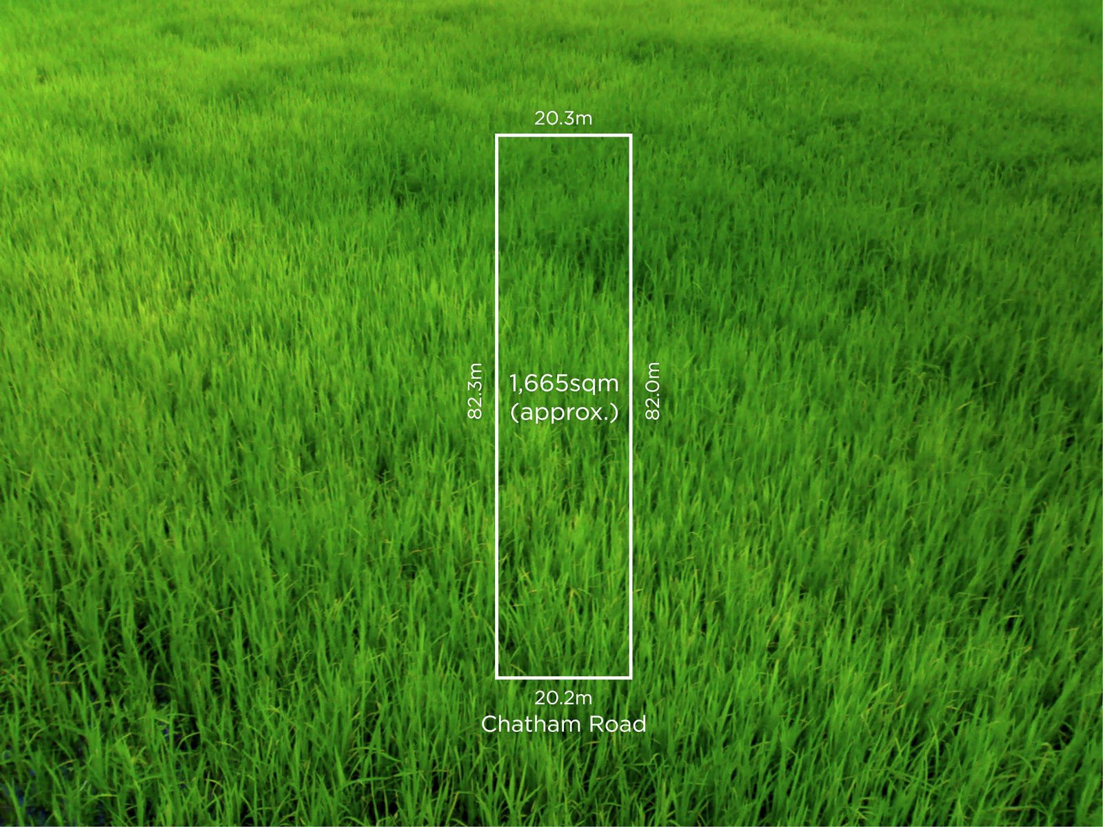 21 Chatham Road, Canterbury, VIC