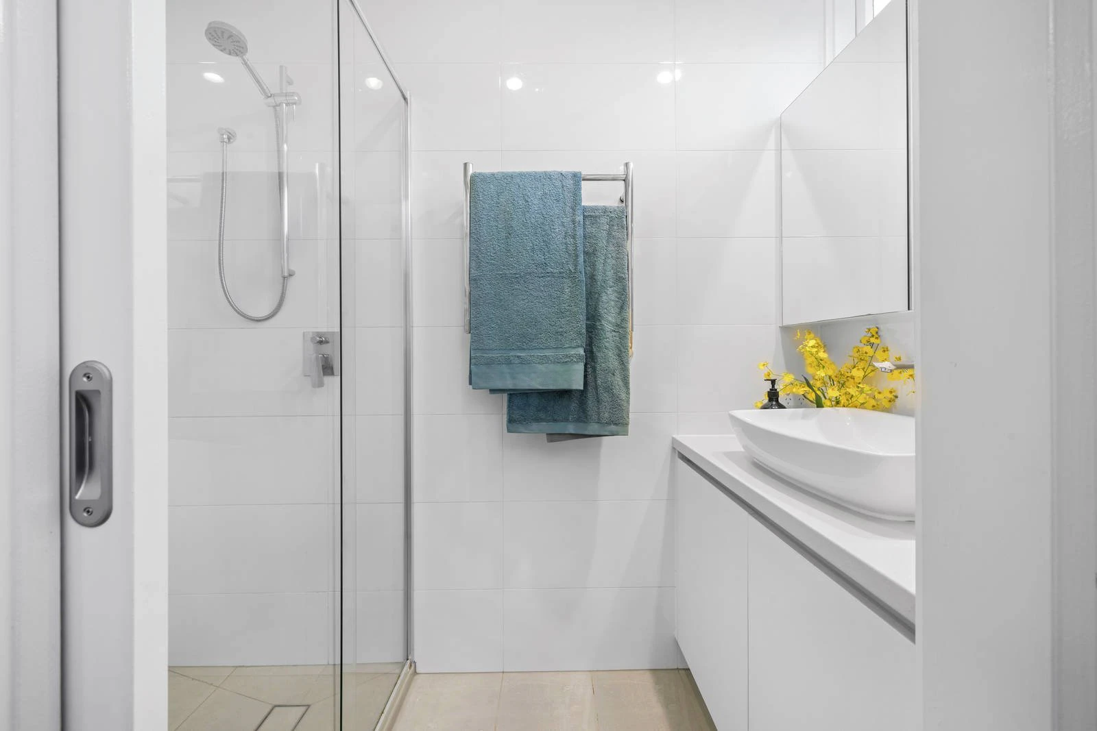 20 Shandon Street, Mornington, VIC
