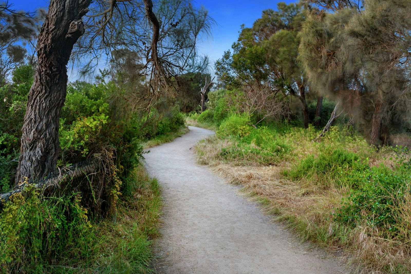 649 Esplanade, Mornington, VIC