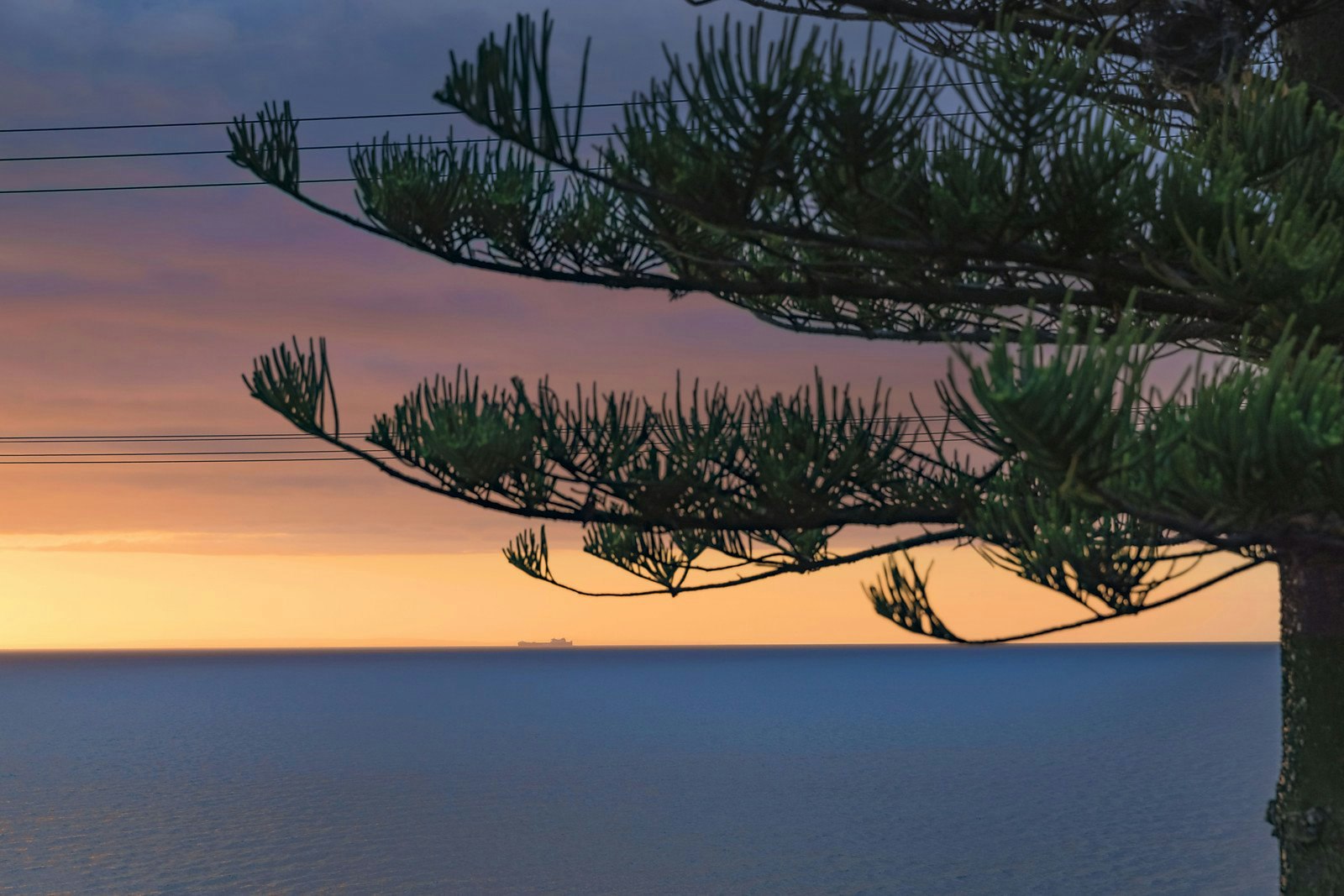 2 Fleming Street, Mornington, VIC