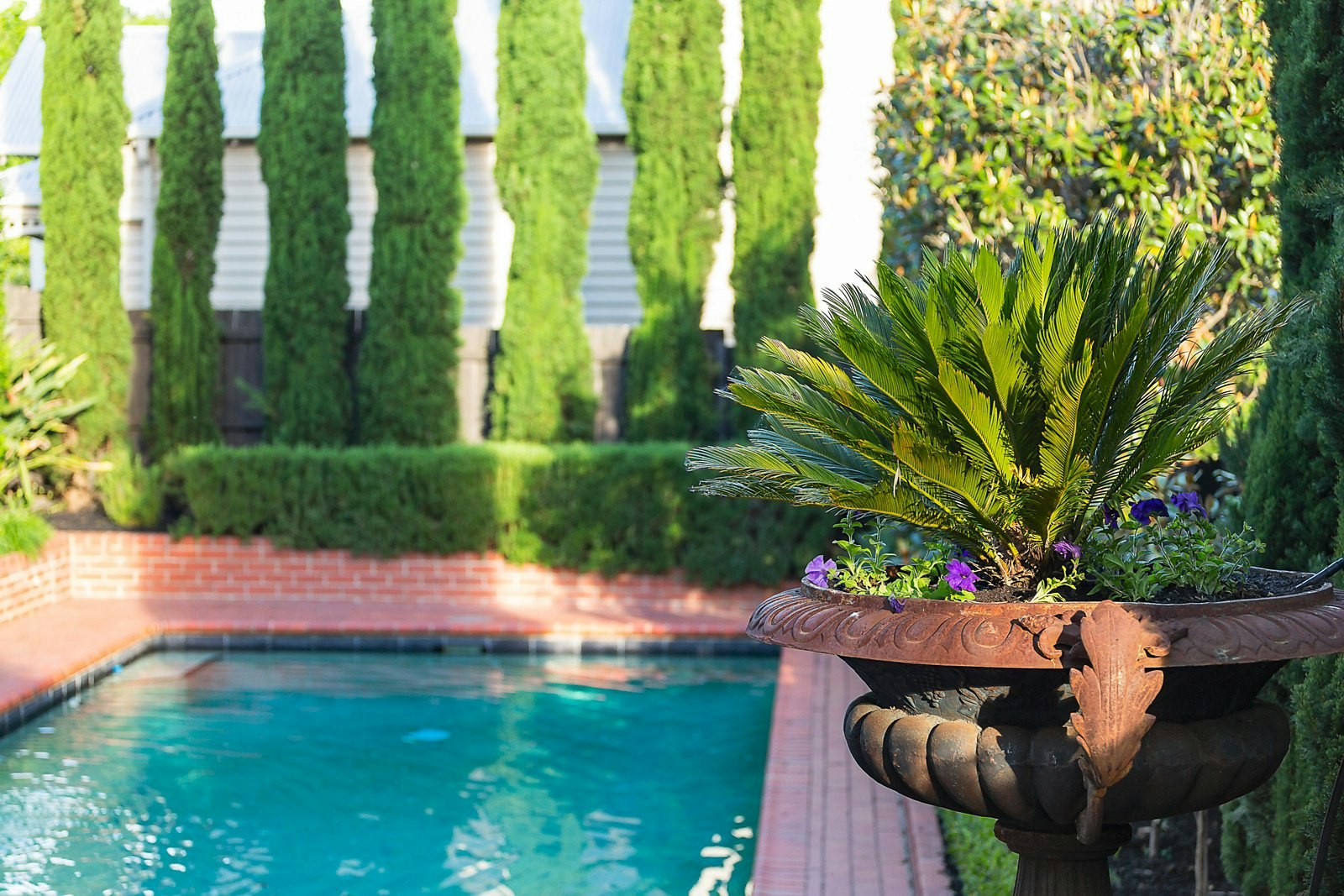 41 Suffolk Road, Surrey Hills, VIC