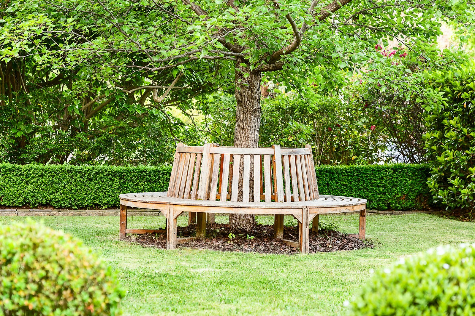 60 Christowel Street, Camberwell, VIC