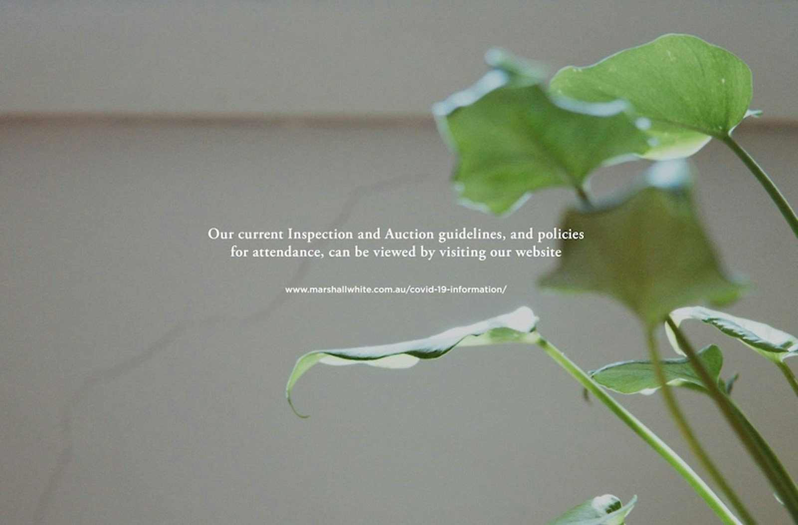 3 Harwood Street, Brighton, VIC