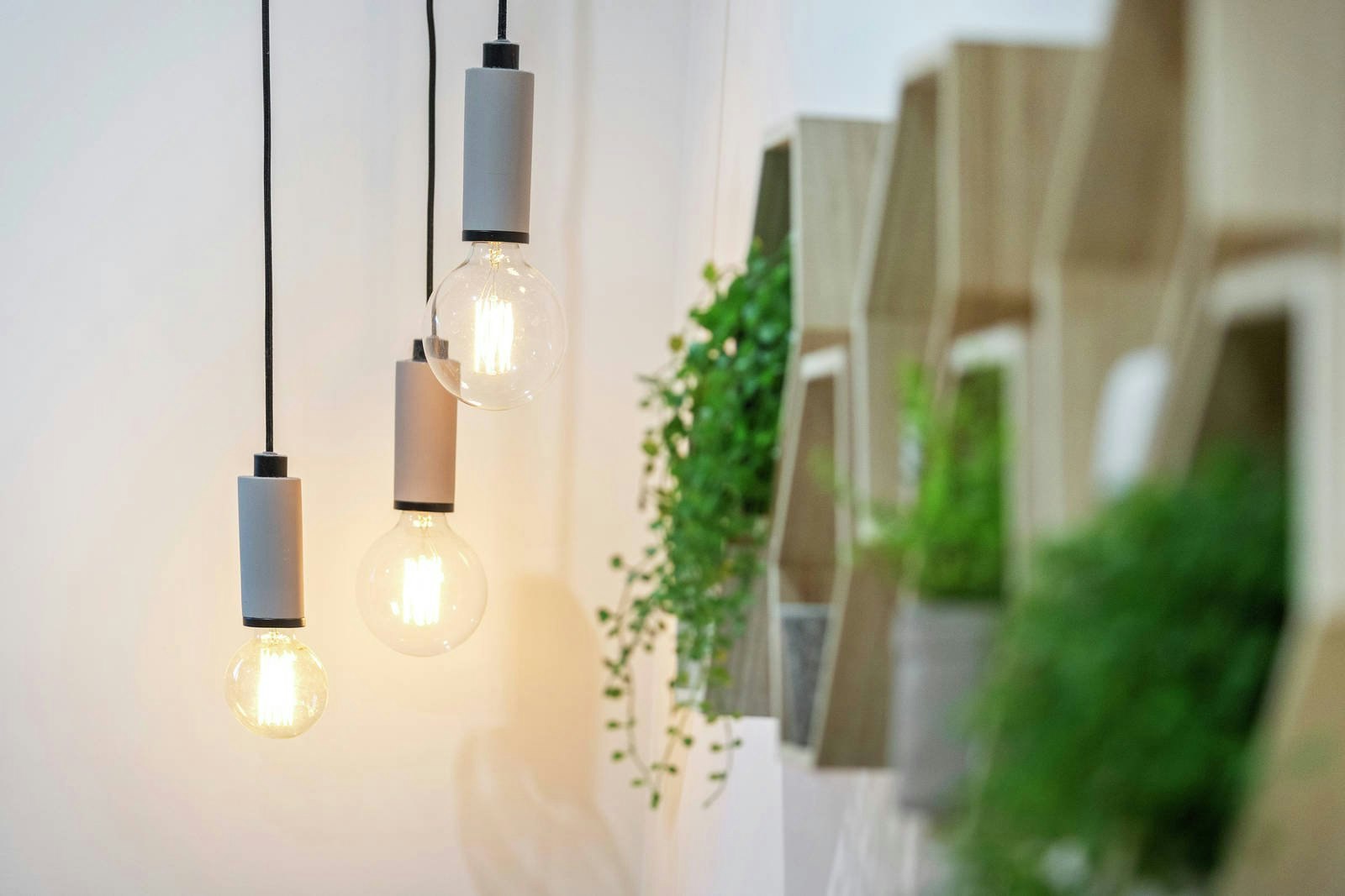 6 Ringtail Close, Botanic Ridge, VIC