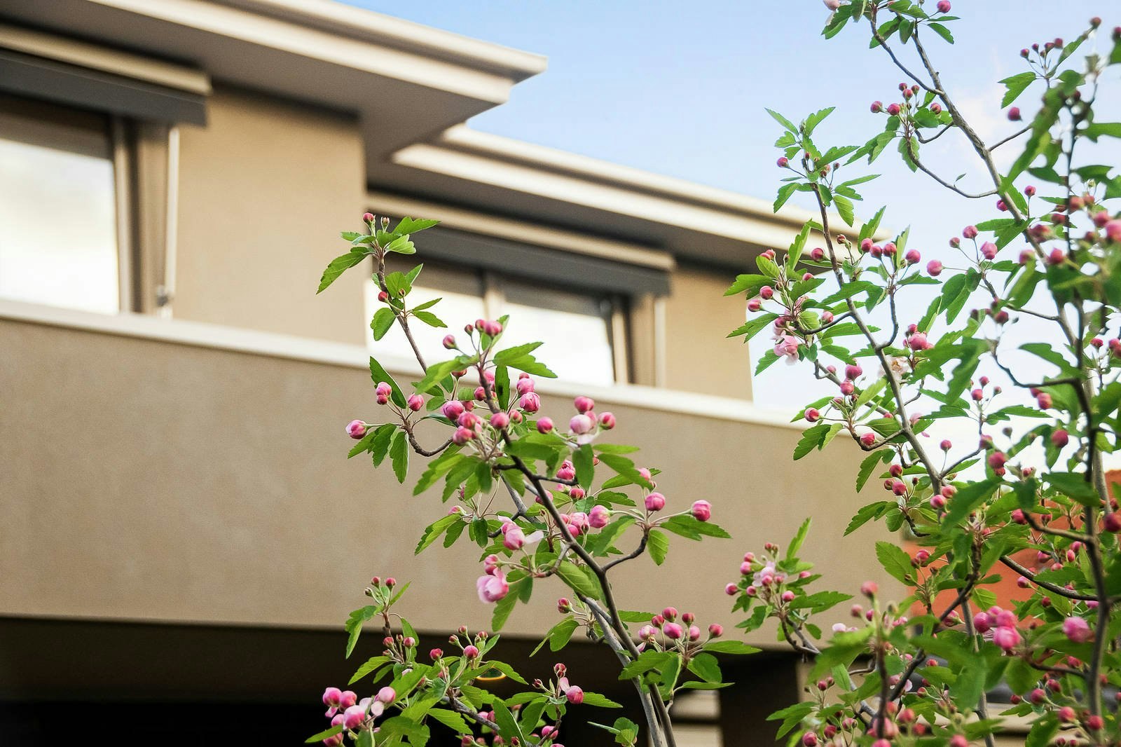 1/21 Scott Grove, Burwood, VIC