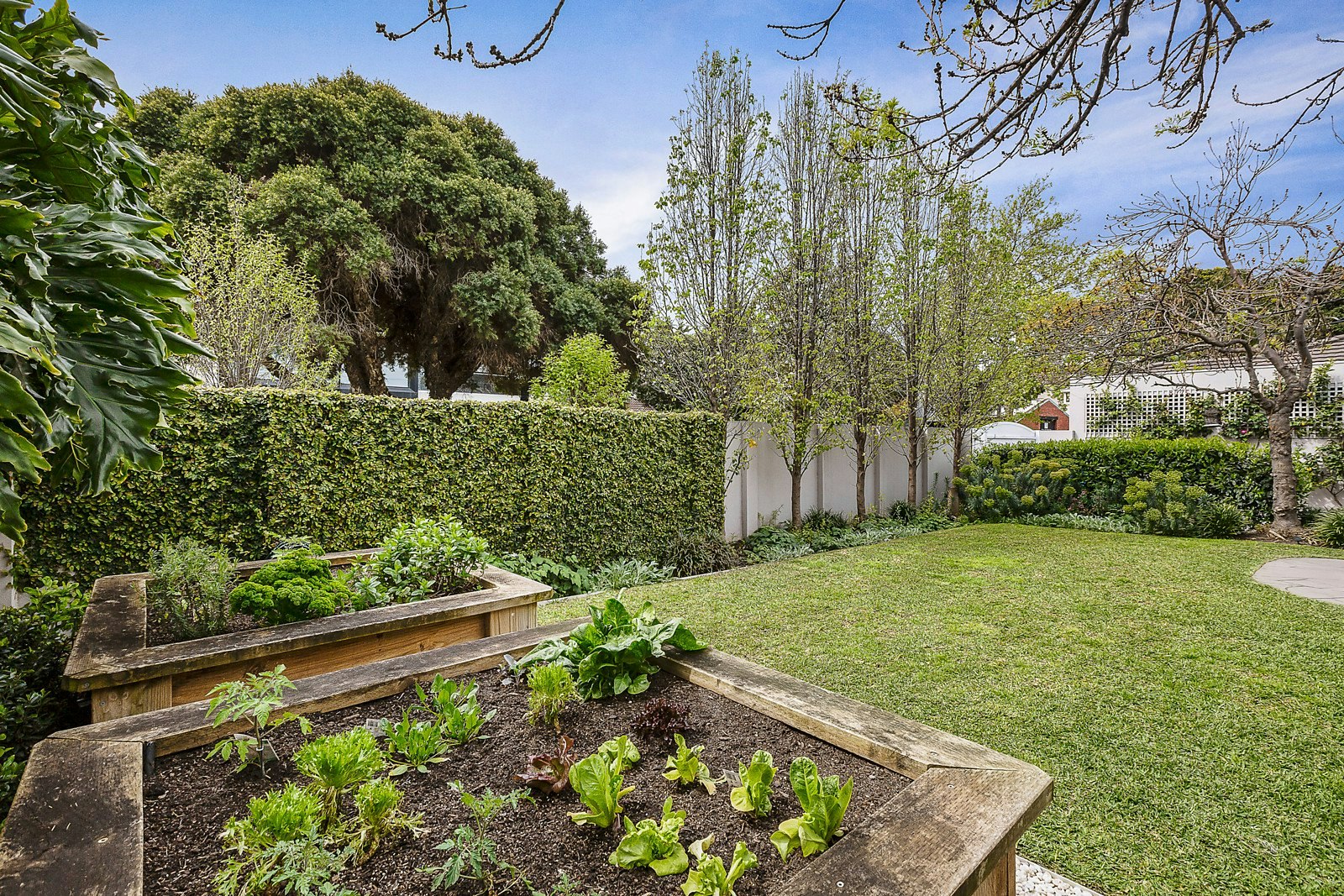 1/15 Outer Crescent, Brighton, VIC