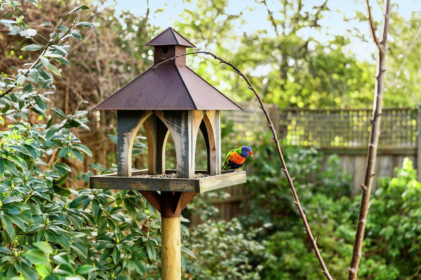 11 Rothesay Avenue, Malvern East, VIC