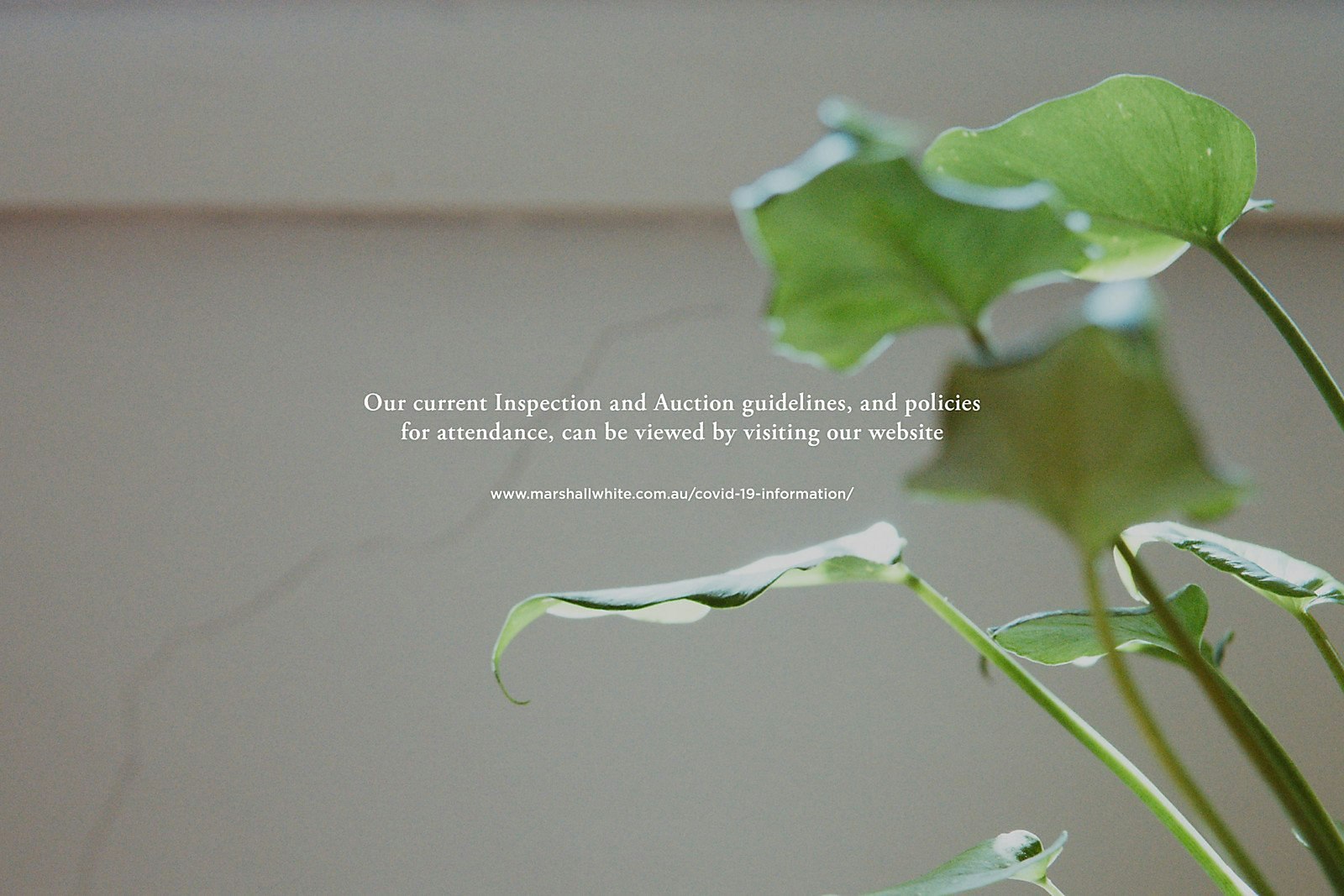 2/54 Through Road, Camberwell, VIC