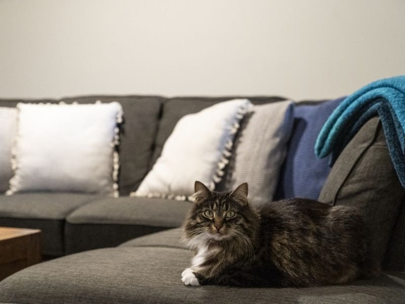 13 Whitsunday Court, Mount Martha, VIC