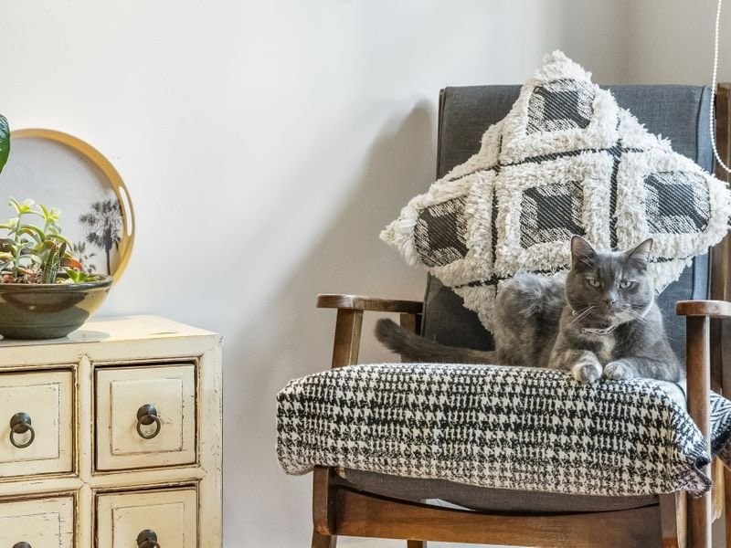 33 Sanderling Crescent, Mornington, VIC