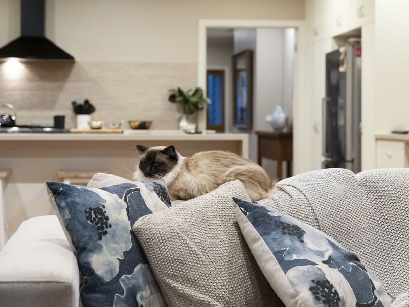 8 Richardson Street, Rye, VIC