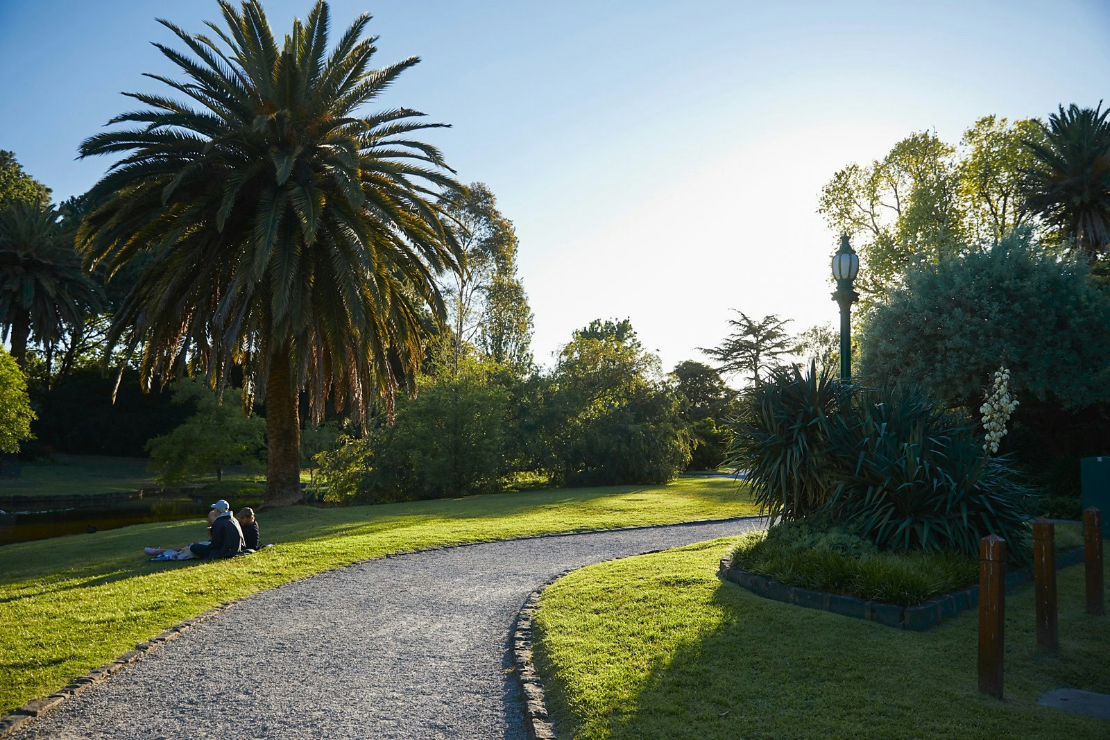 1/6 Hope Street, Glen Iris, VIC