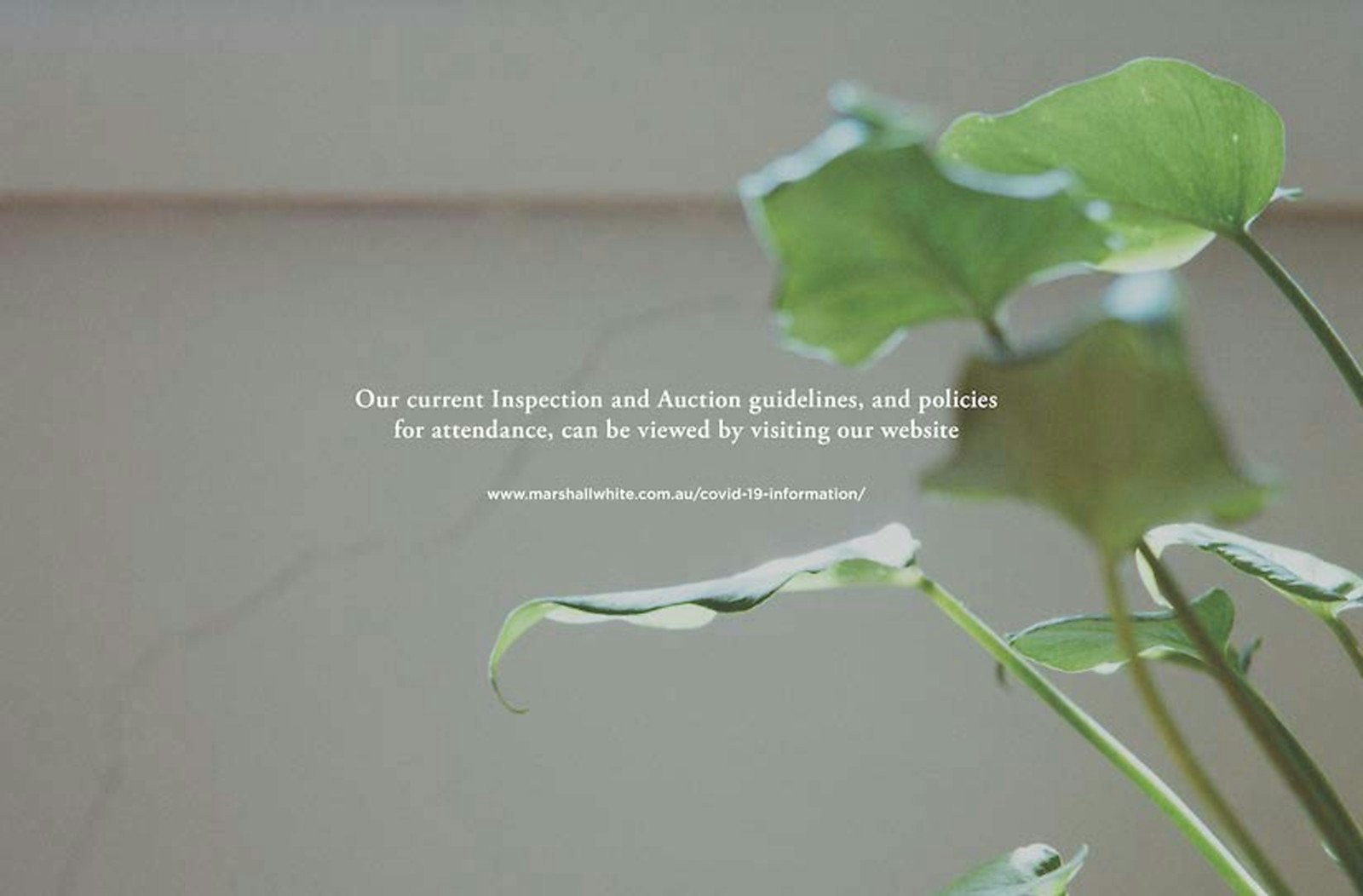 23 Sunhill Road, Glen Iris, VIC