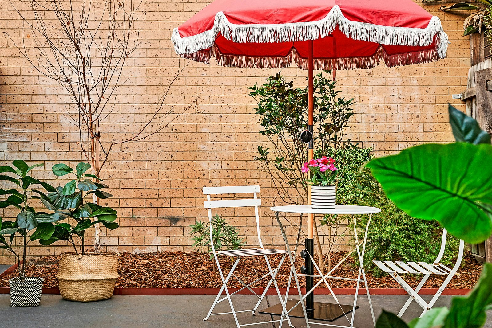 24 Greeves Street, St Kilda, VIC