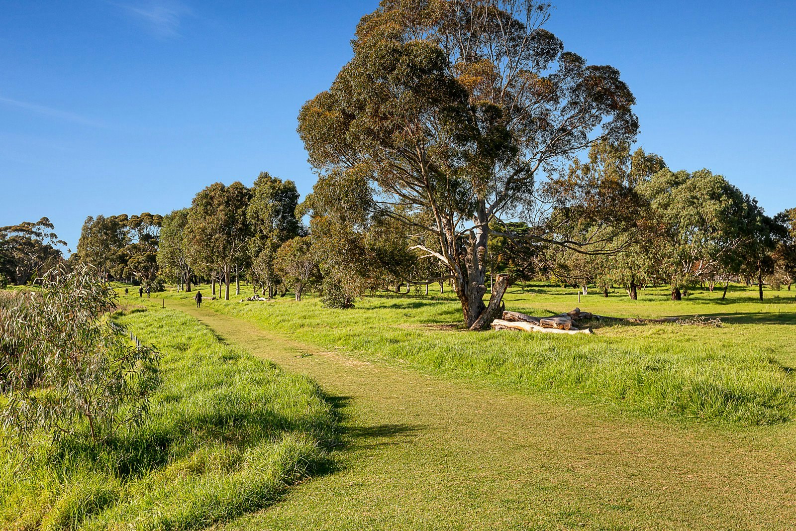 2/493-495 St Kilda Street, Elwood, VIC