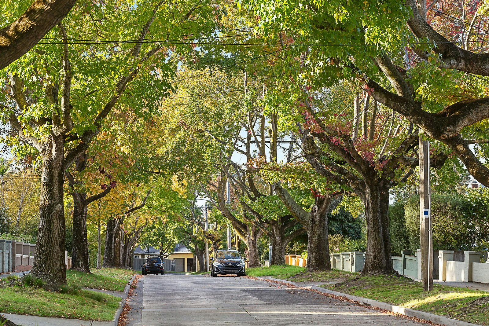 371 Waverley Road, Malvern East, VIC
