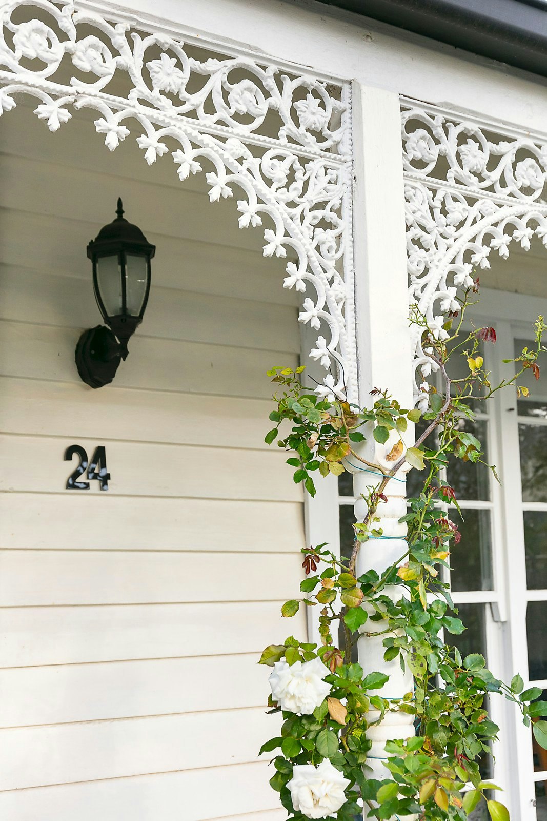 24 Laburnum Street, Brighton, VIC