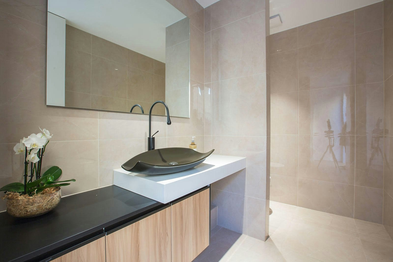 19 Gleniffer Avenue, Brighton East, VIC