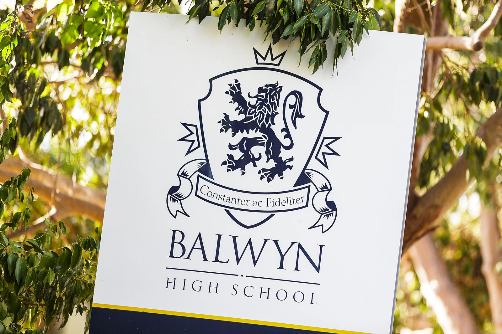 5 John Street, Balwyn, VIC