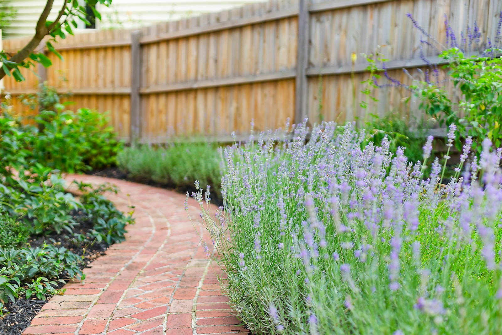 1A Westbourne Grove, Camberwell, VIC