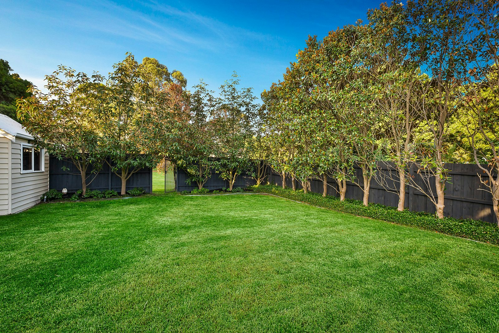 155 Mont Albert Road, Canterbury, VIC