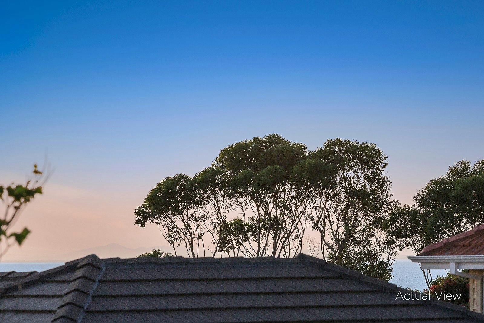 38 Fernhill Road, Sandringham, VIC