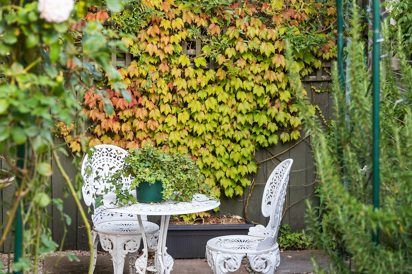 4/21 Tollington Avenue, Malvern East, VIC