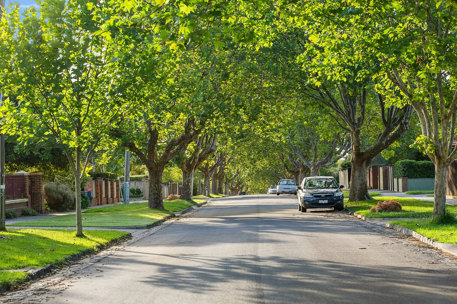 45 Campbell Street, Kew, VIC
