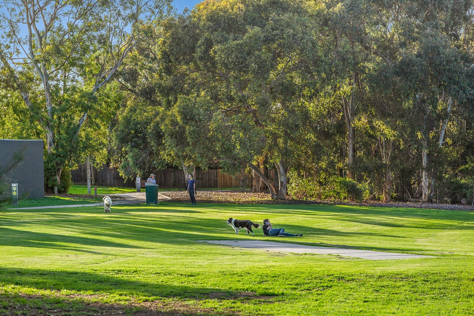 45 Campbell Street, Kew, VIC