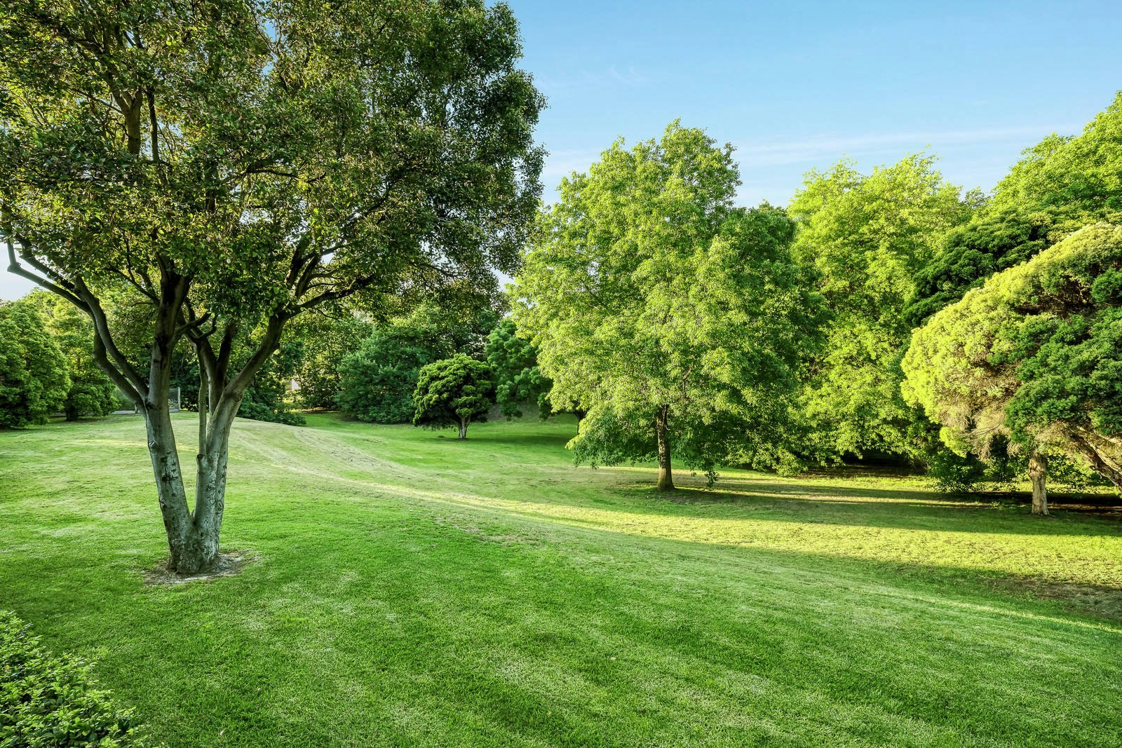 171 Mont Albert Road, Canterbury, VIC