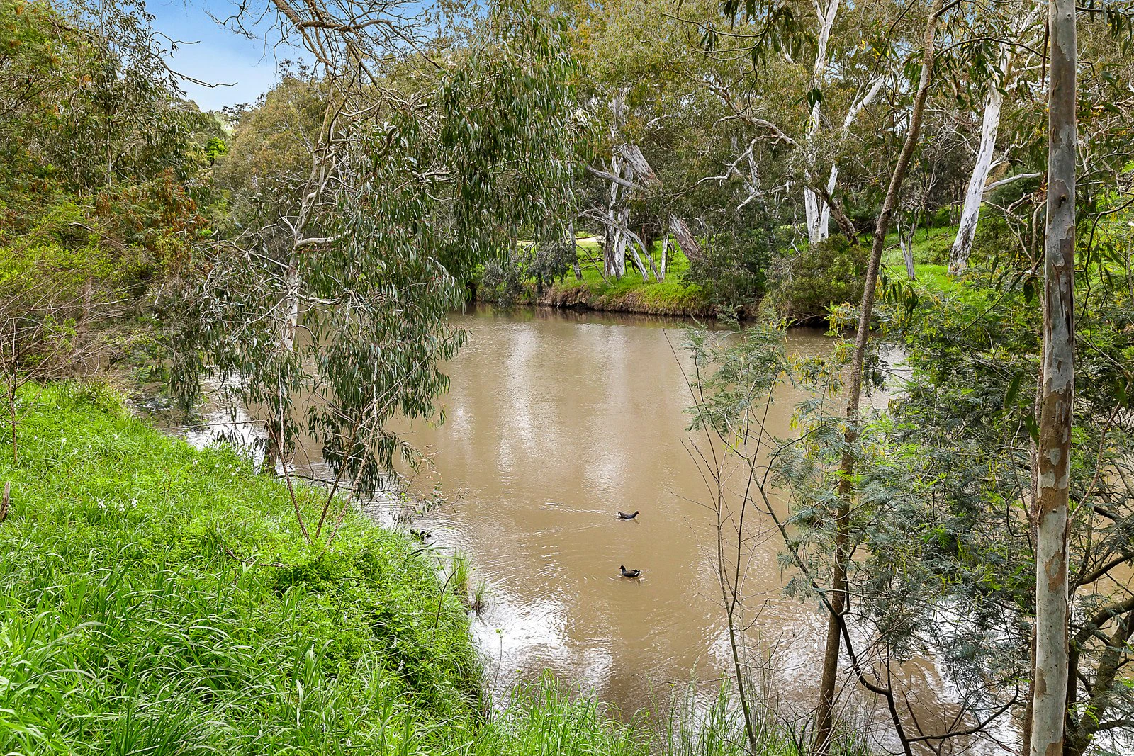 91 Wills Street, Kew, VIC