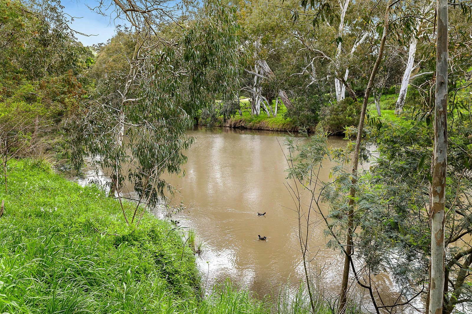 91 Wills Street, Kew, VIC
