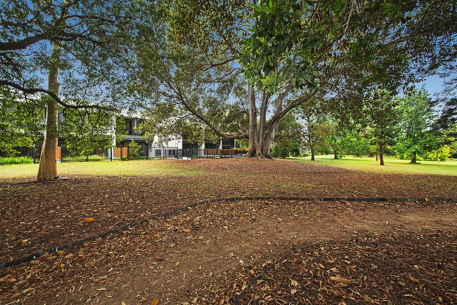 11/17-19 Landcox Street, Brighton East, VIC