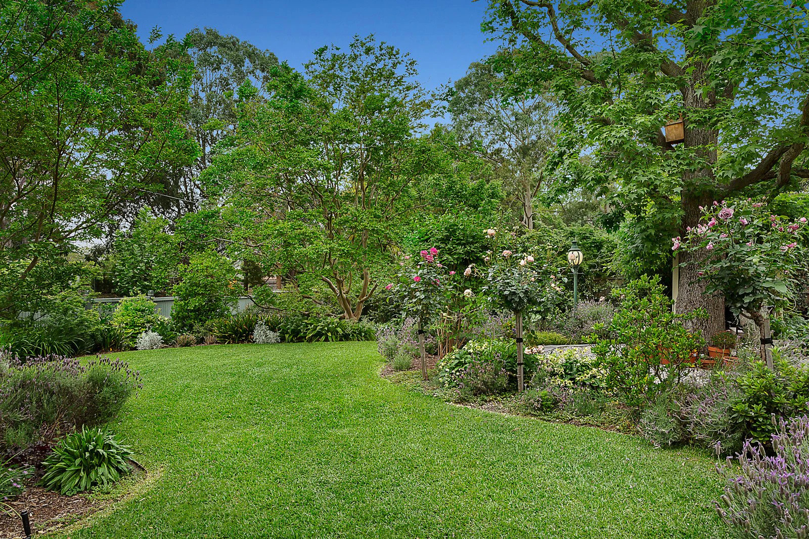 54 Churchill Street, Mont Albert, VIC