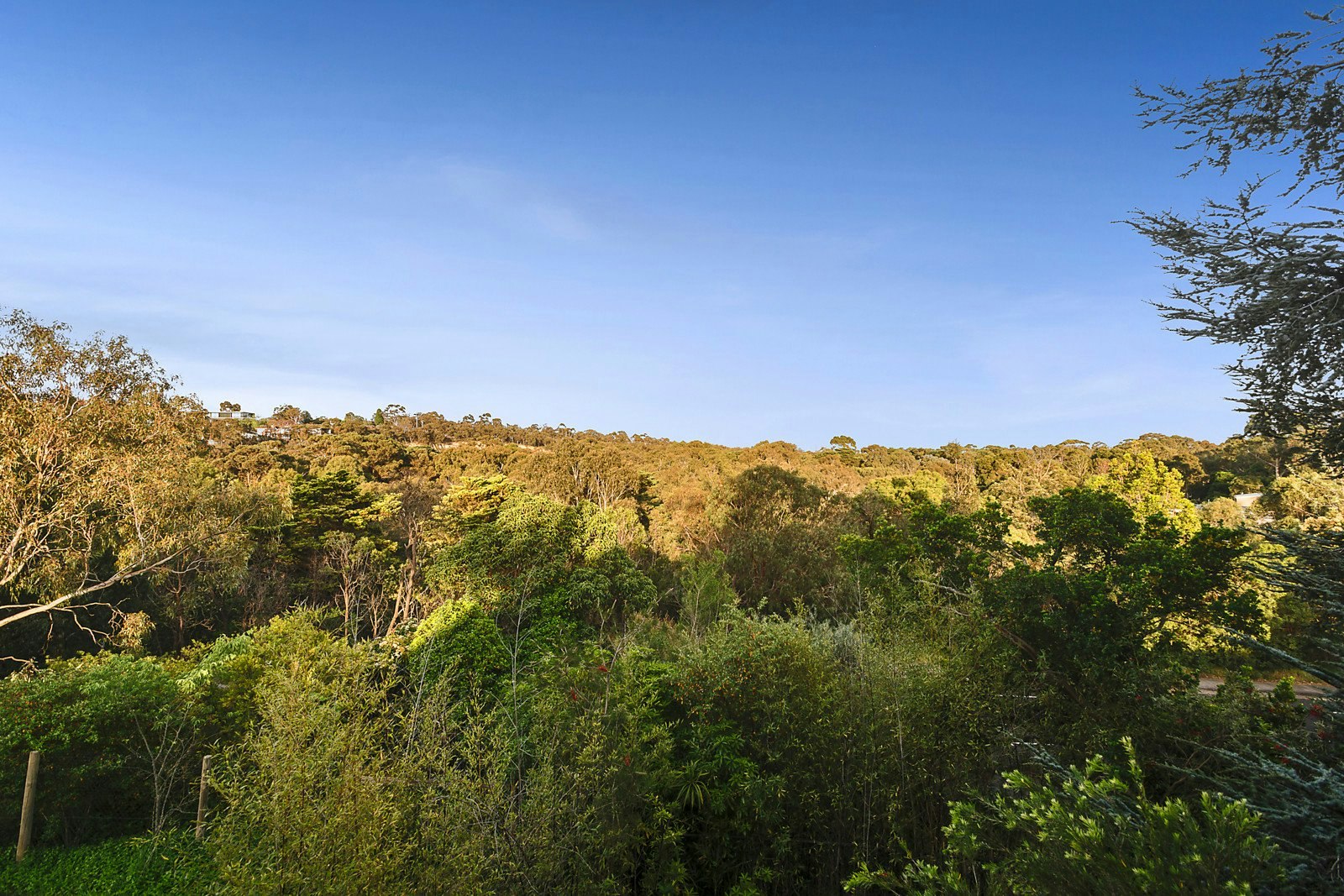 9 Belvedere, Kew, VIC