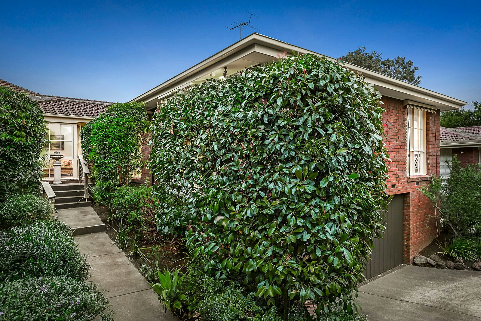 2/52 Shepherd Street, Surrey Hills, VIC